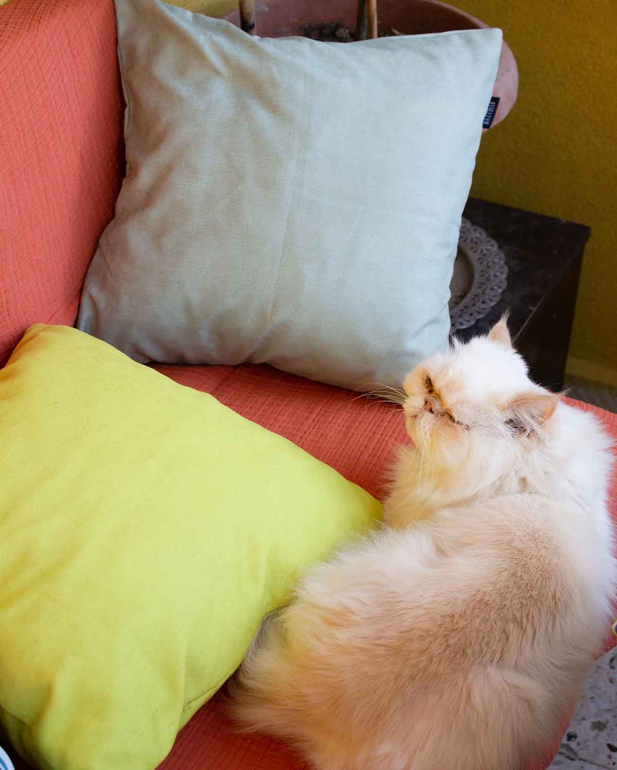 Pastel Cushion Cover - Yellow - Image 4