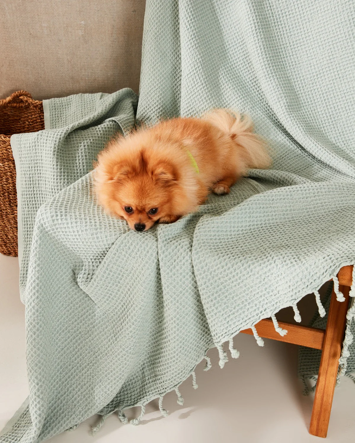 Waffle Cotton Blanket - Mint - Image 2