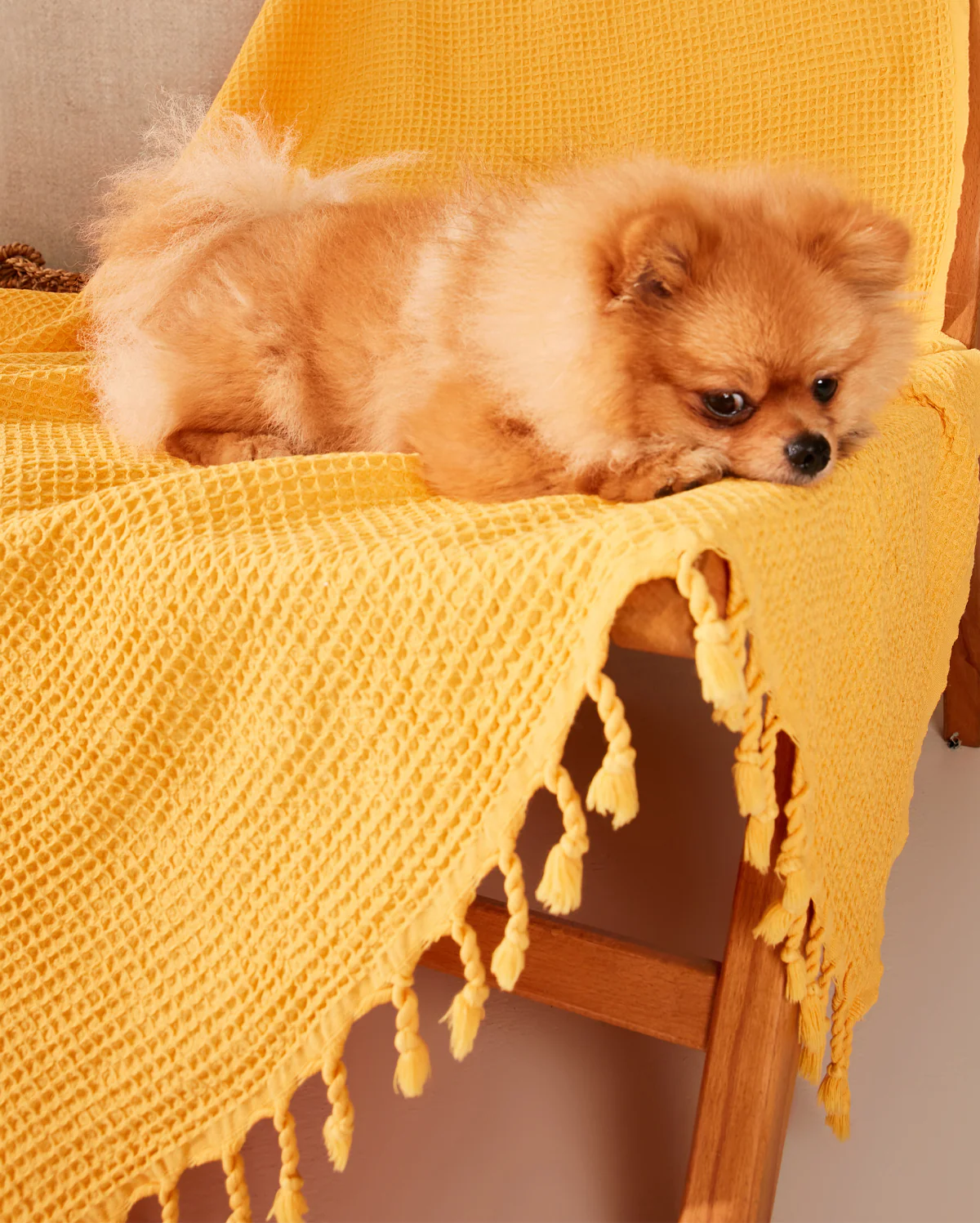 Waffle Cotton Blanket - Yellow - Image 3